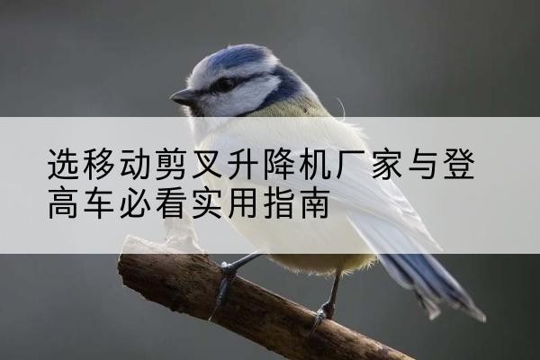 月湖电动升降机厂家-选移动剪叉升降机厂家与登高车必看实用指南