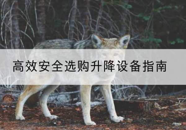 月湖升降货梯厂家推荐-*安全选购升降设备指南