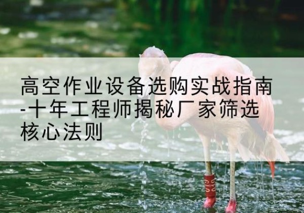月湖剪叉式升降机厂家-高空作业设备选购实战指南-十年工程师揭秘厂家筛选核心法则