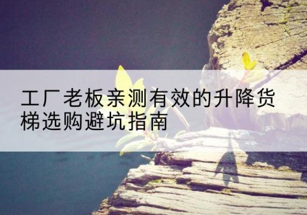 月湖升降货梯怎么选-工厂老板亲测有效的升降货梯选购避坑指南
